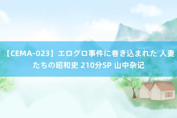 【CEMA-023】エログロ事件に巻き込まれた 人妻たちの昭和史 210分SP 山中杂记