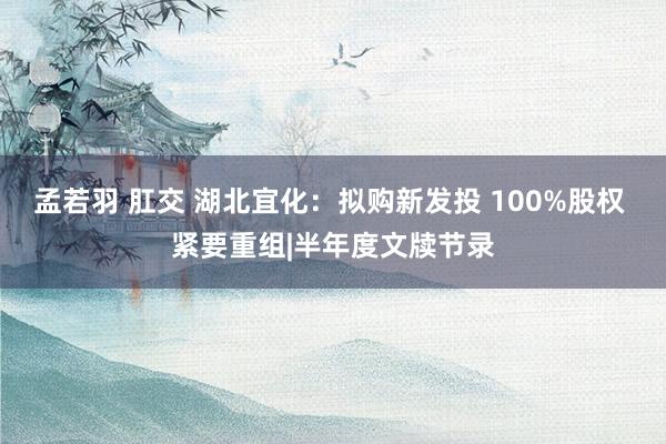 孟若羽 肛交 湖北宜化：拟购新发投 100%股权 紧要重组|半年度文牍节录