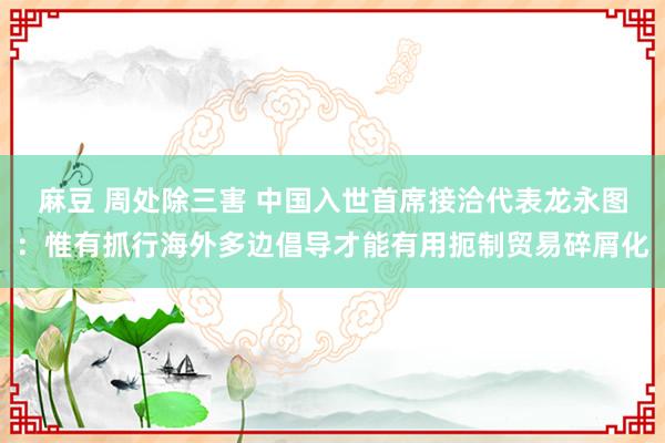 麻豆 周处除三害 中国入世首席接洽代表龙永图：惟有抓行海外多边倡导才能有用扼制贸易碎屑化