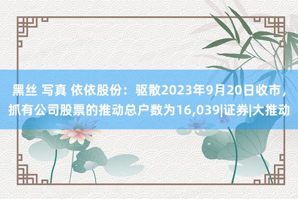 黑丝 写真 依依股份：驱散2023年9月20日收市，抓有公司股票的推动总户数为16，039|证券|大推动