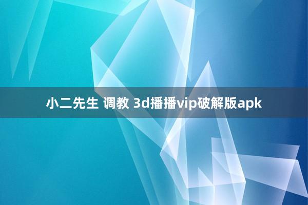 小二先生 调教 3d播播vip破解版apk