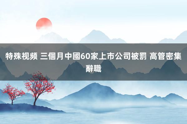 特殊视频 三個月中國60家上市公司被罰 高管密集辭職