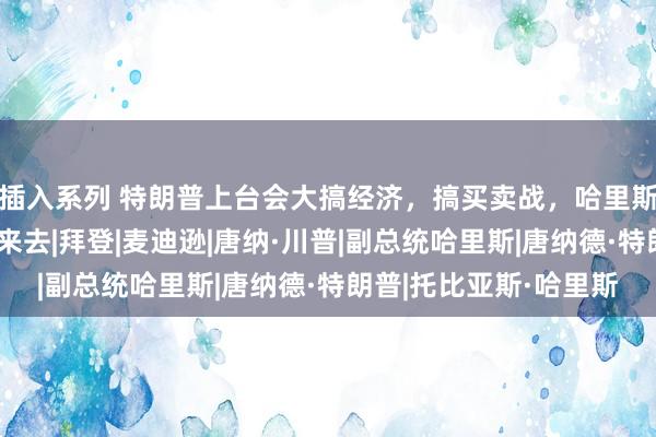 插入系列 特朗普上台会大搞经济，搞买卖战，哈里斯上台大搞军事，发动来去|拜登|麦迪逊|唐纳·川普|副总统哈里斯|唐纳德·特朗普|托比亚斯·哈里斯