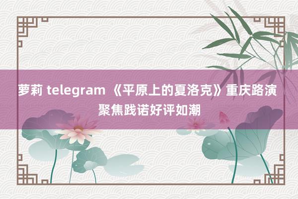 萝莉 telegram 《平原上的夏洛克》重庆路演 聚焦践诺好评如潮